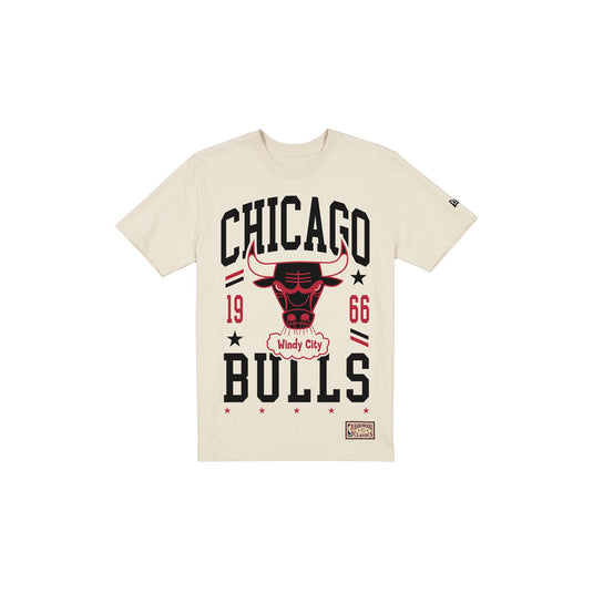 Chicago Bulls 1960-1970 Hardwood Classics Chrome White T-Shirt - New Era Cap