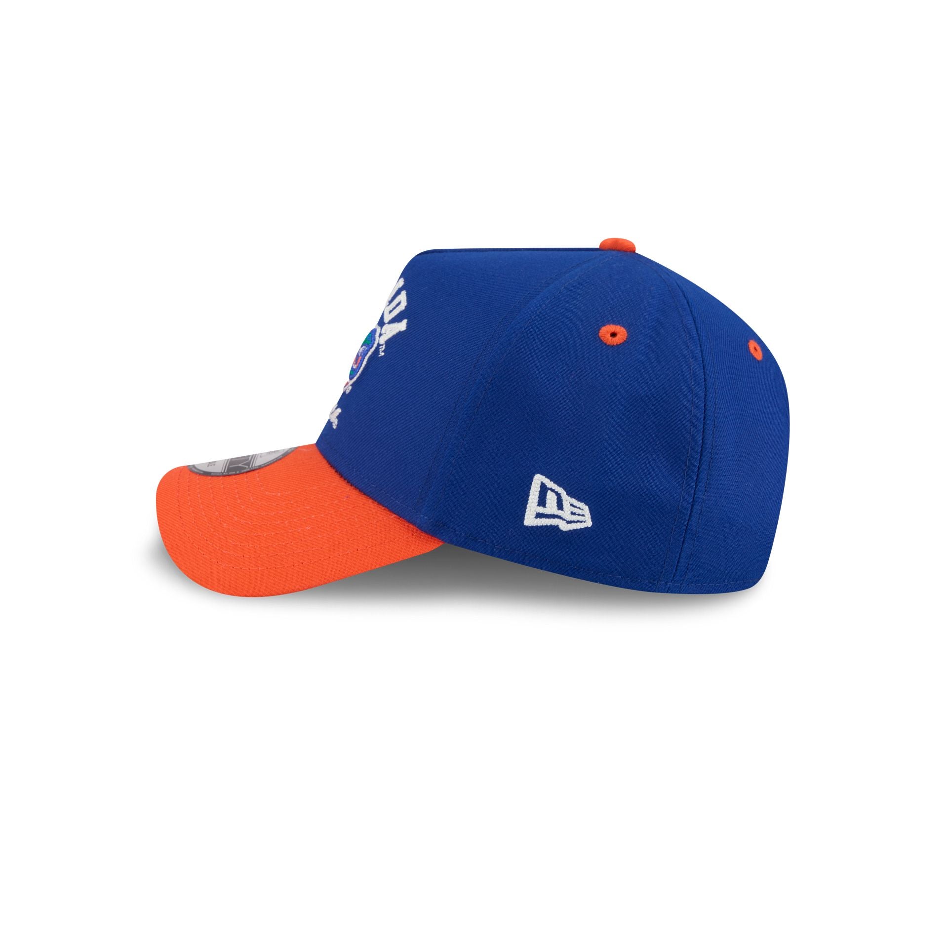 Florida Gators Arched 9FORTY A-Frame Snapback Hat