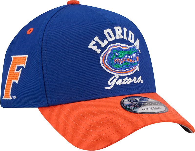 Florida Gators Arched 9FORTY A-Frame Snapback Hat