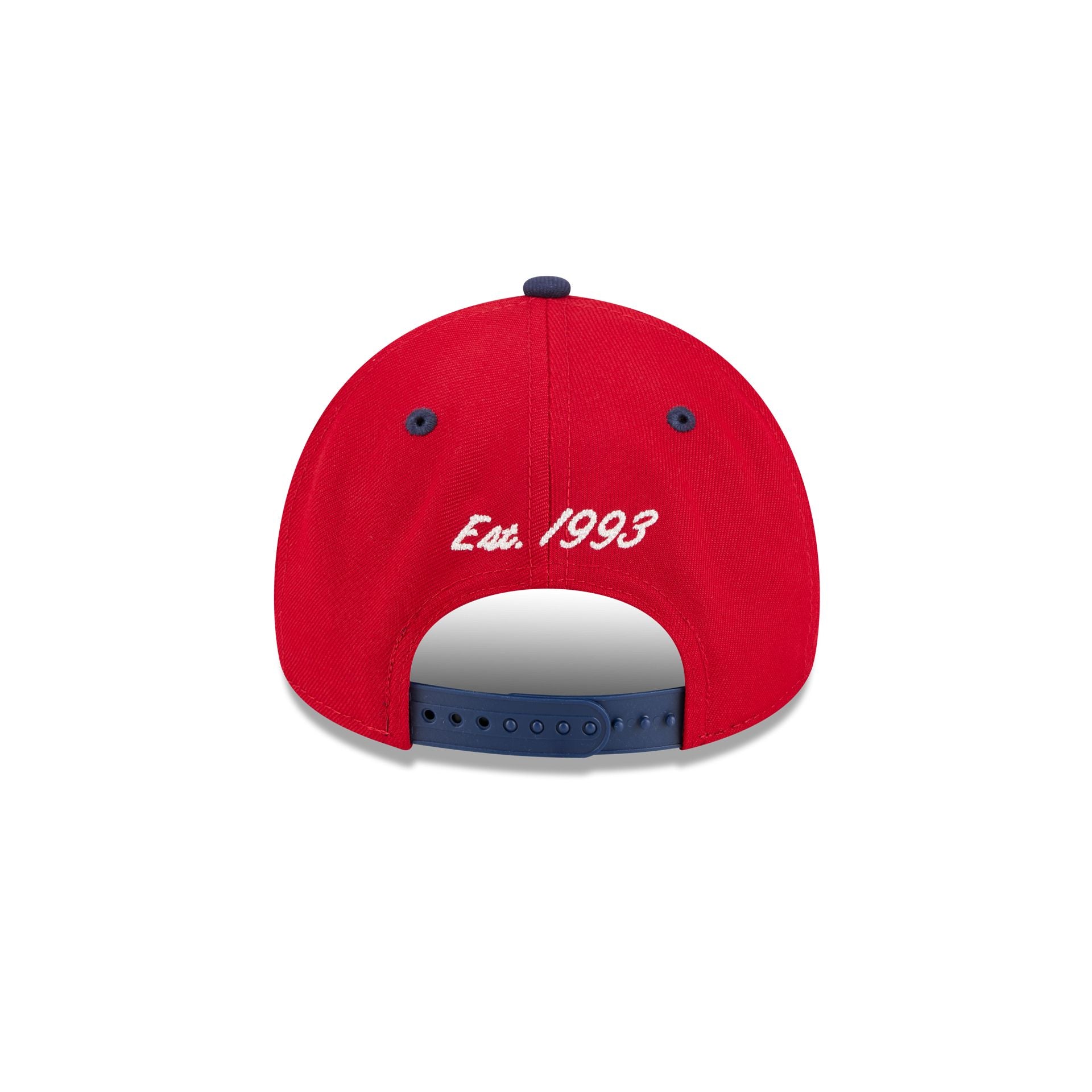 Florida Panthers Arched 9FORTY A-Frame Snapback Hat