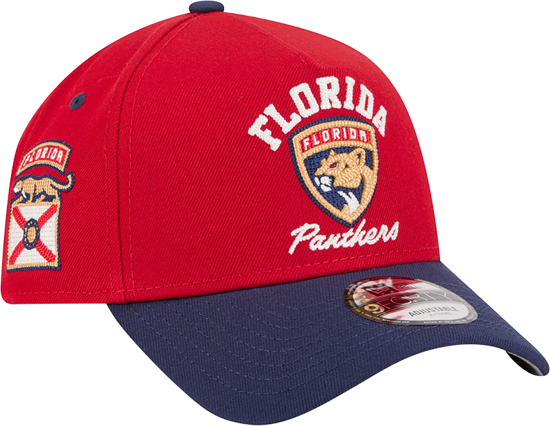 Florida Panthers Arched 9FORTY A-Frame Snapback Hat