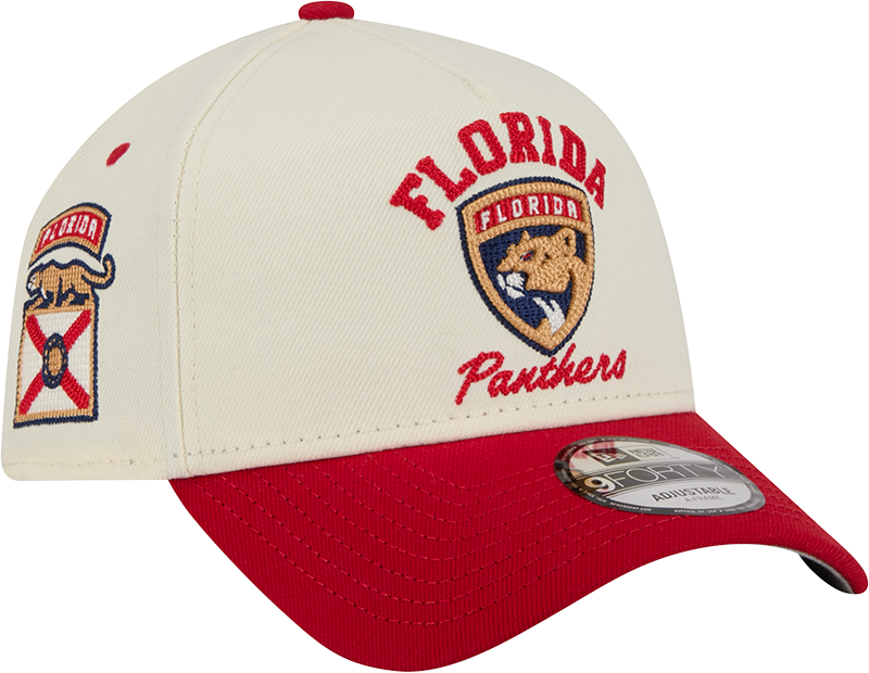 Florida Panthers Chrome White Arched 9FORTY A-Frame Snapback Hat