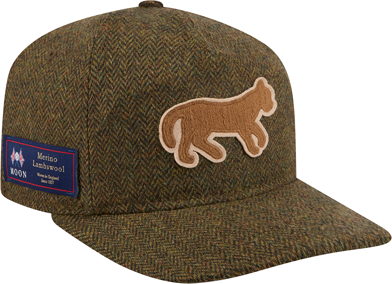 Detroit Tigers Olive Merino Lambswool Moon 19TWENTY Adjustable Hat