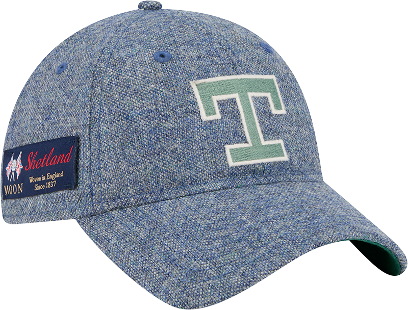 Texas Rangers Light Royal Shetland Moon 9TWENTY Adjustable Hat