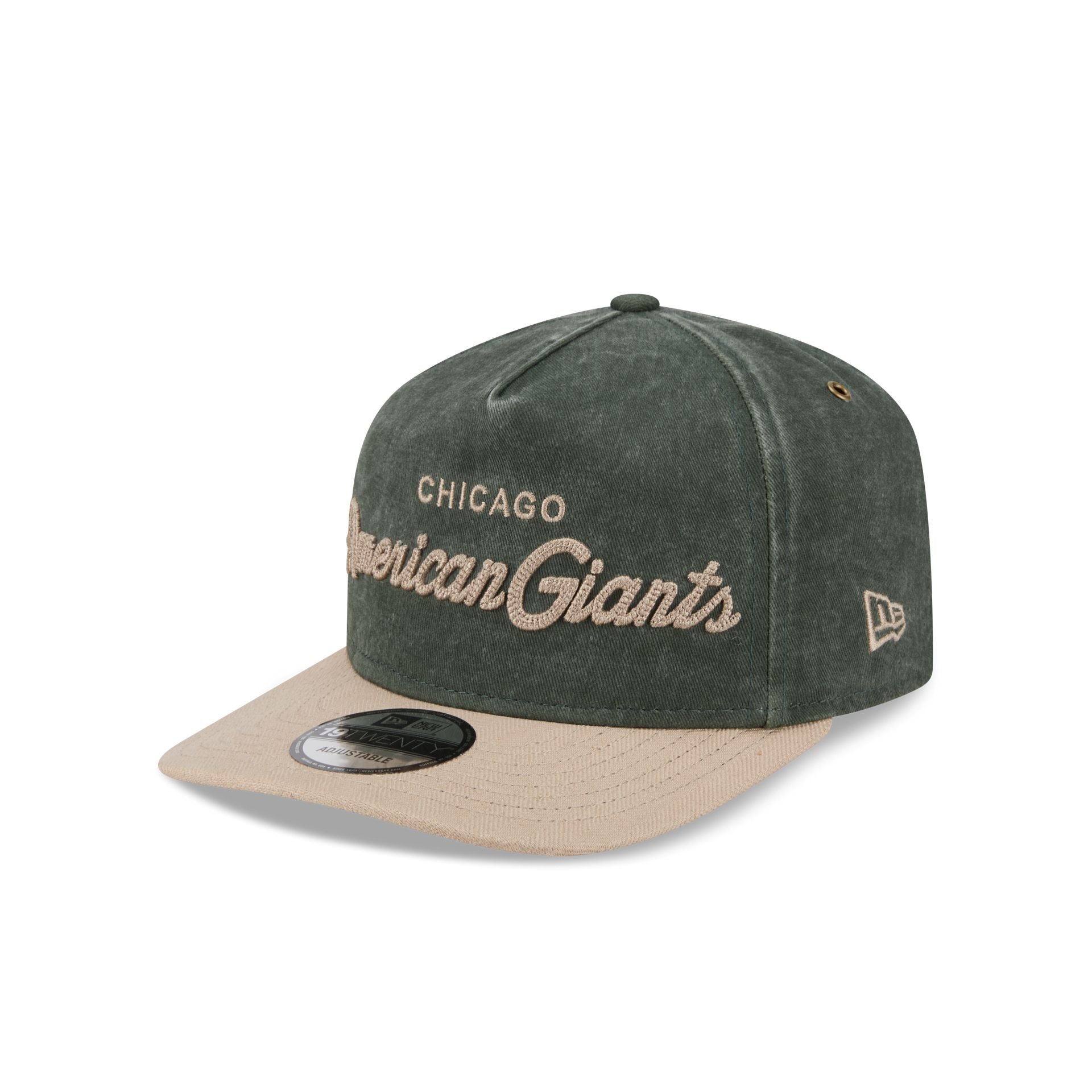 Chicago American Giants Chainstitch Dark Green 19TWENTY Adjustable Hat