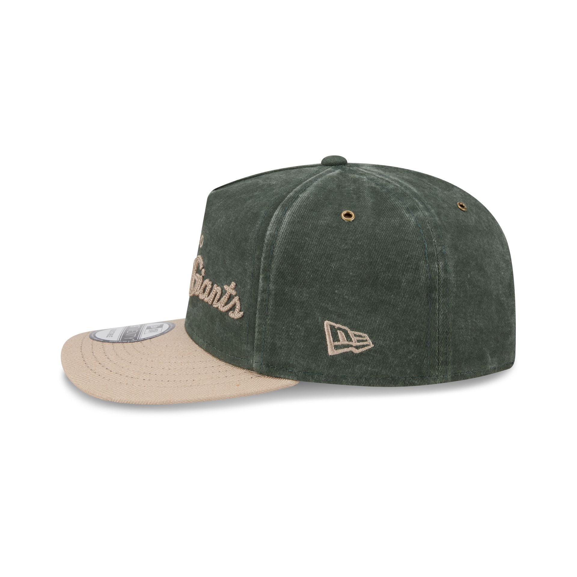 Chicago American Giants Chainstitch Dark Green 19TWENTY Adjustable Hat