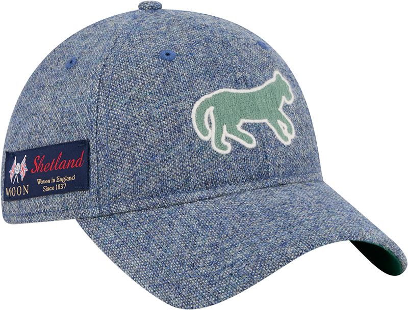 Detroit Tigers Light Royal Shetland Moon 9TWENTY Adjustable Hat