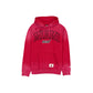Miami Heat Sport Classics Wordmark Washed Hoodie