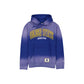 Golden State Warriors Sport Classics Wordmark Washed Hoodie