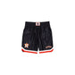Houston Astros Sport Classics Tag Shorts