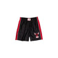 Chicago Bulls Sport Classics Tag Women's Shorts