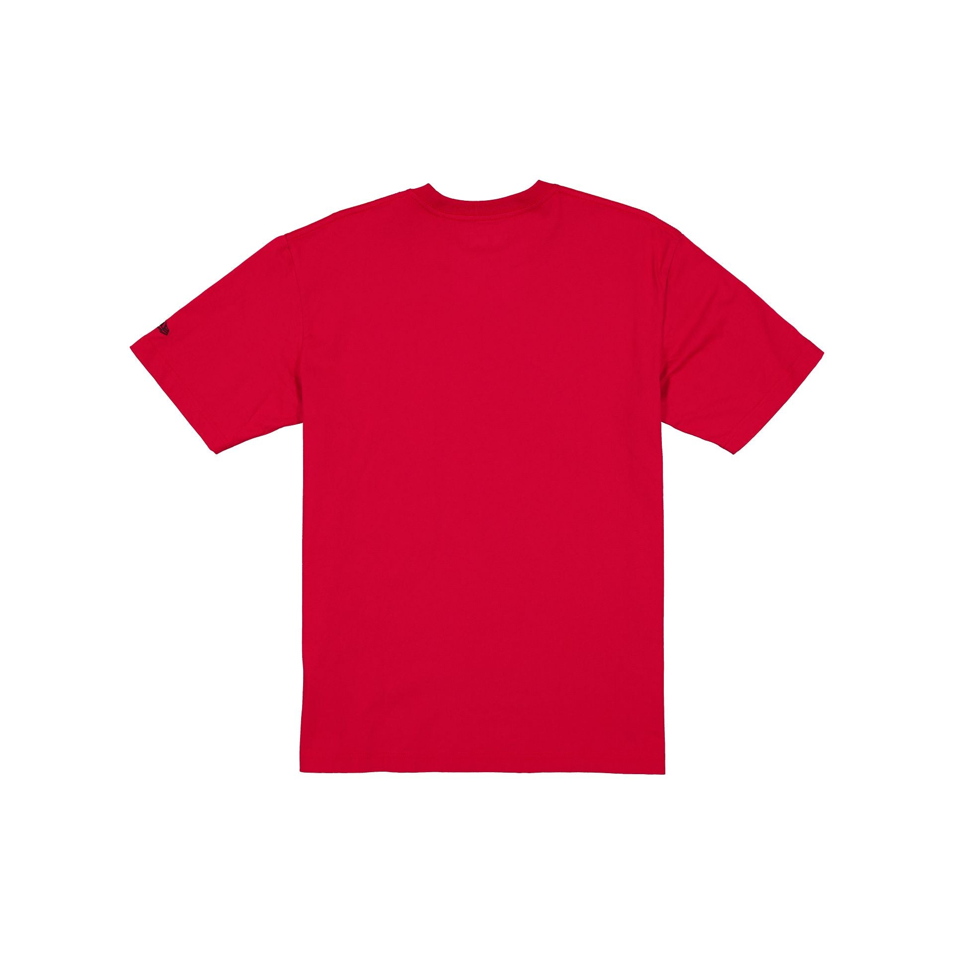 Detroit Red Wings Past Glory T-Shirt