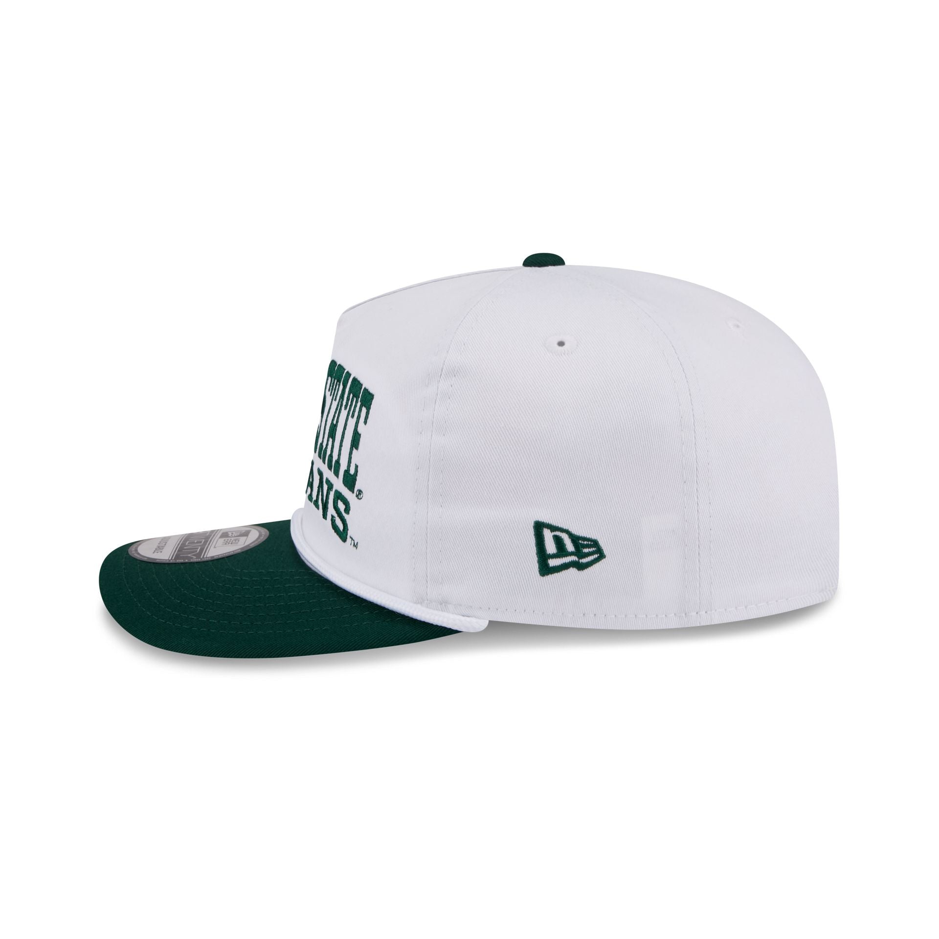 Michigan State Spartans Collegiate Wordmark 19TWENTY Snapback Hat