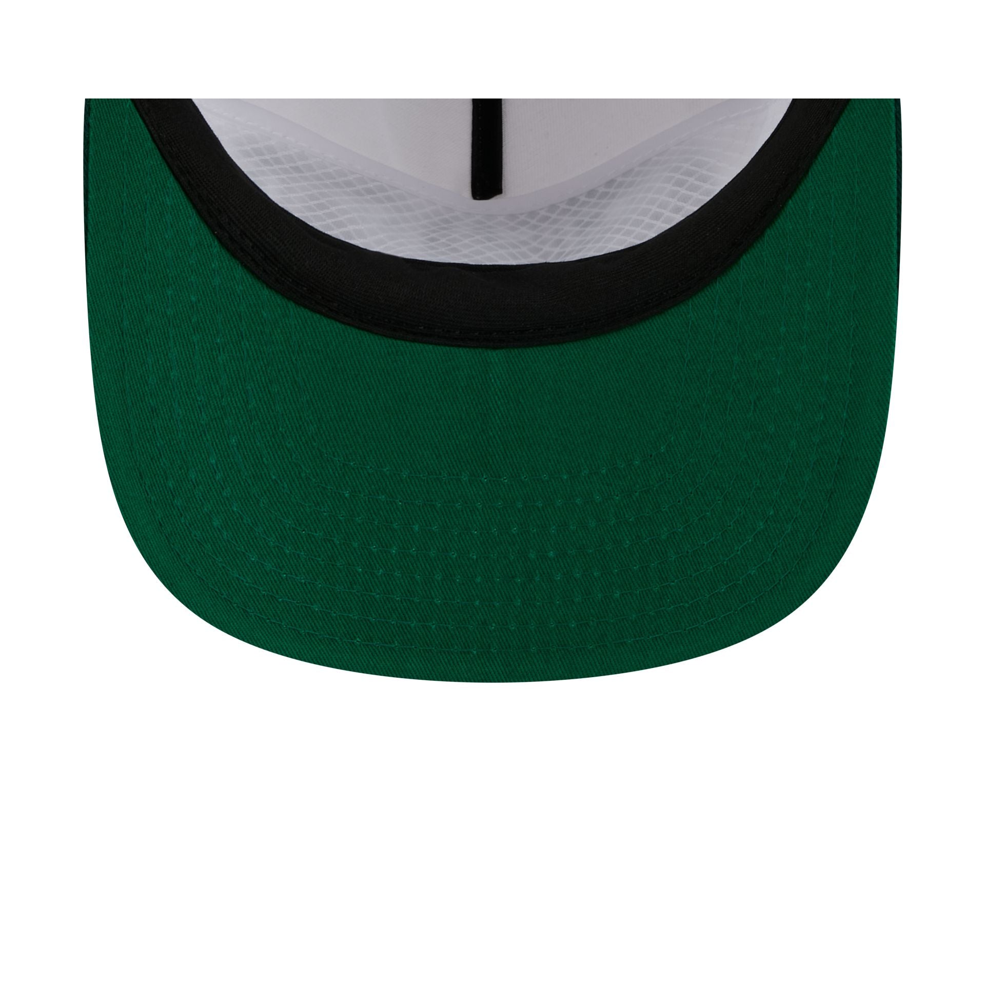 Michigan State Spartans Collegiate Wordmark 19TWENTY Snapback Hat