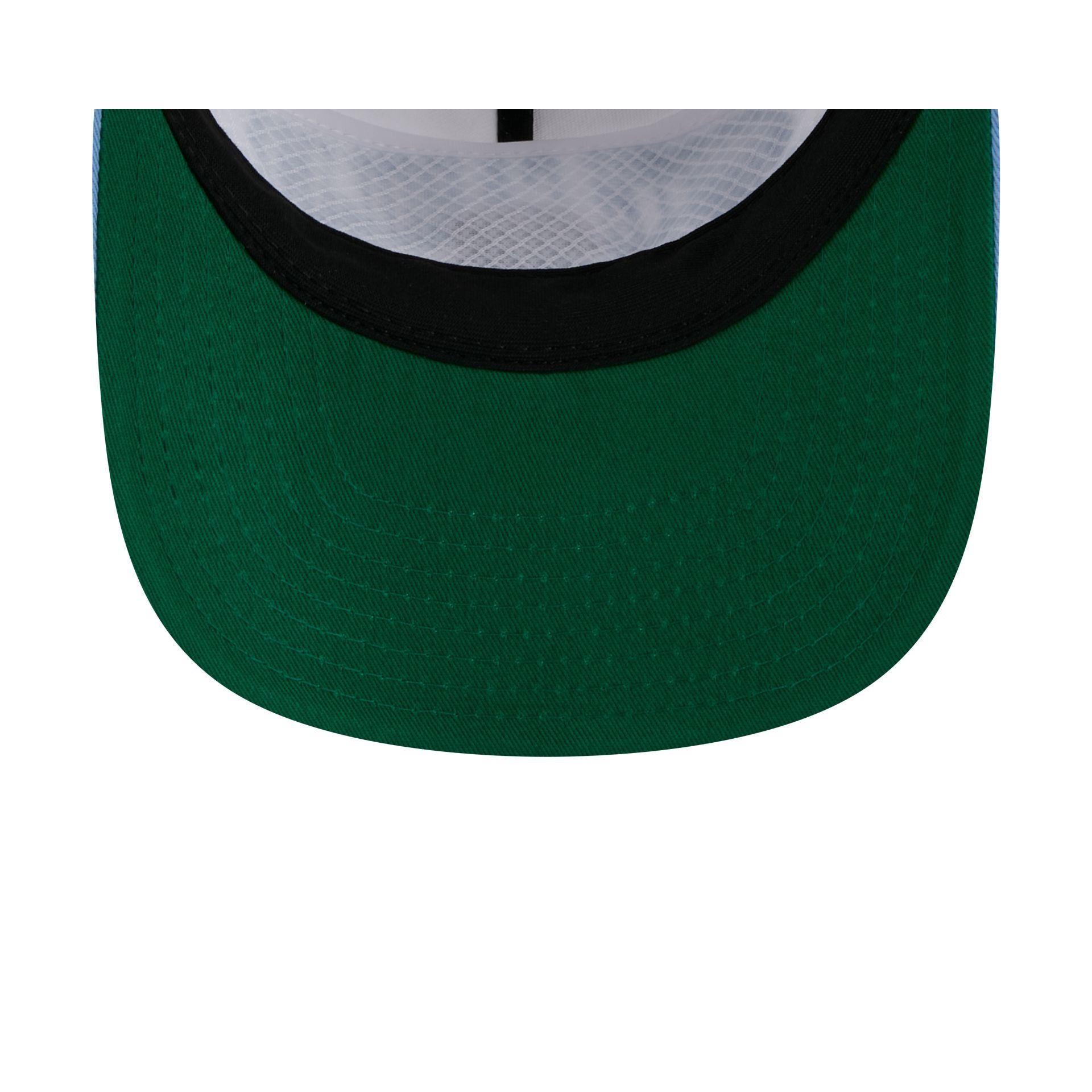 North Carolina Tar Heels Collegiate Wordmark 19TWENTY Snapback Hat