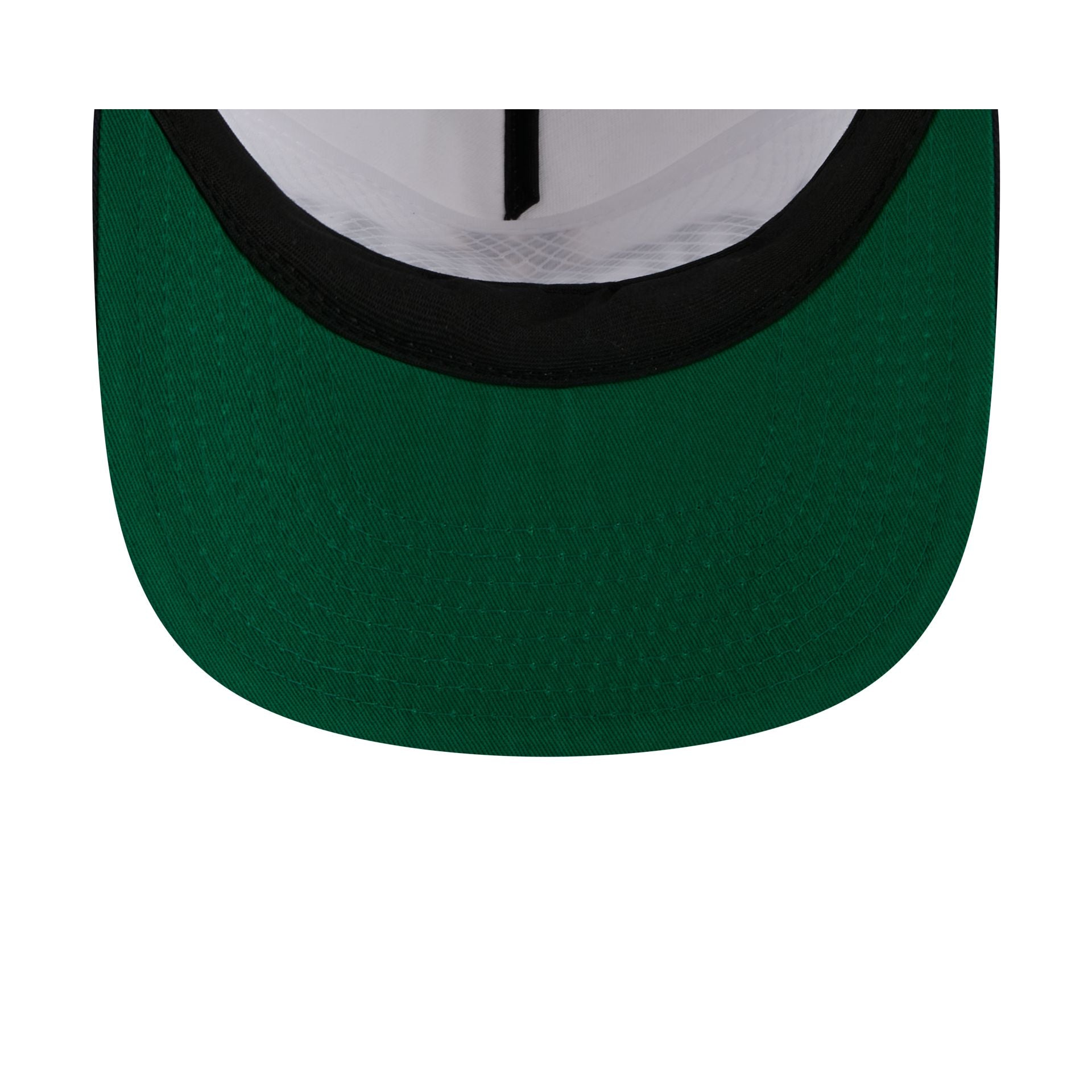 Michigan Wolverines Collegiate Wordmark 19TWENTY Snapback Hat