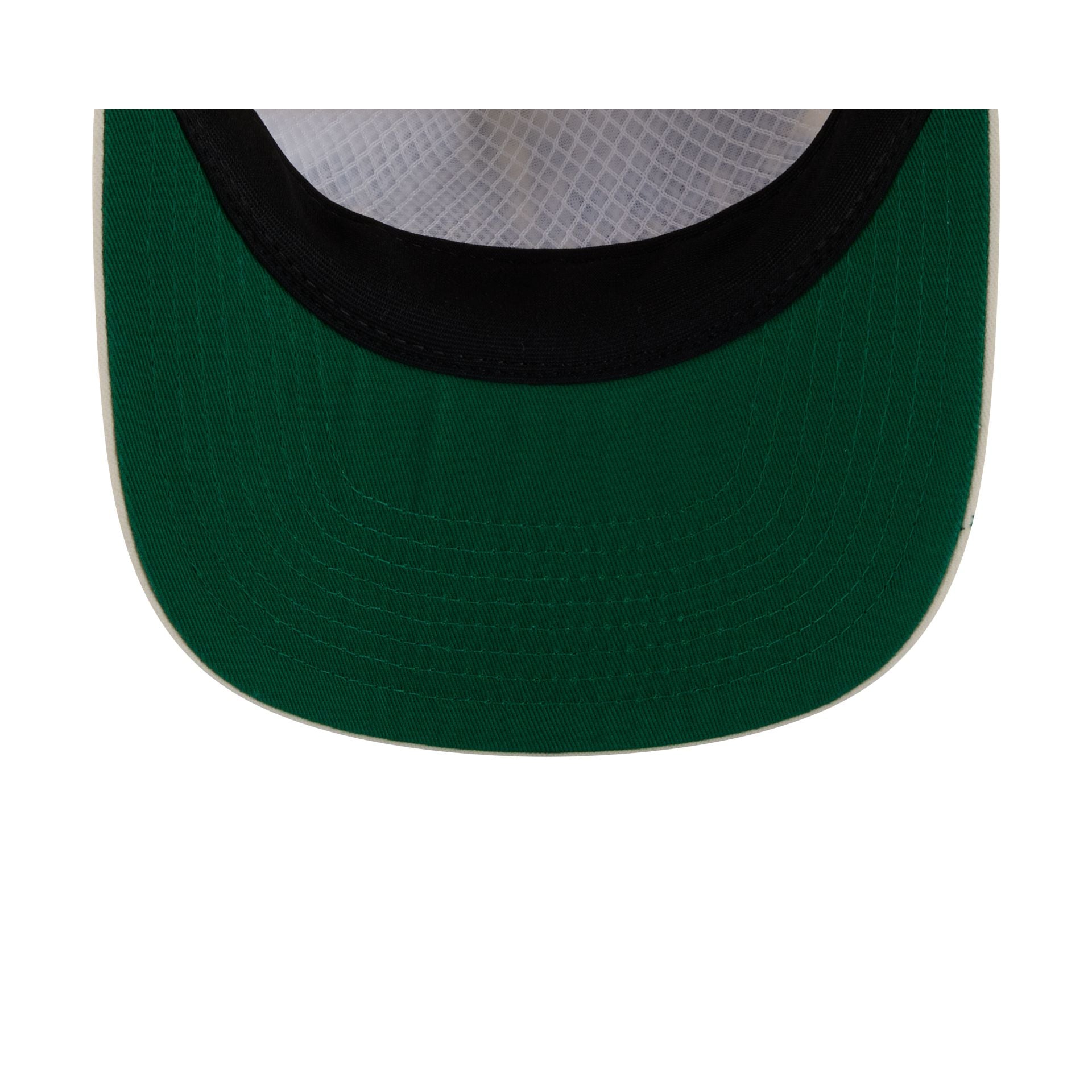 North Carolina Tar Heels Collegiate Script Ivory 19TWENTY Snapback Hat