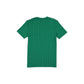 Boston Celtics Throwback Pinstripe Varsity T-Shirt