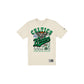 Boston Celtics Throwback Net Chrome White T-Shirt