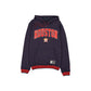 Houston Astros Throwback Academic Hoodie
