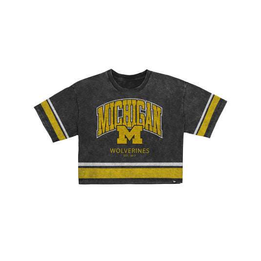 Michigan Wolverines Women's Vintage Stripe Cropped T-Shirt