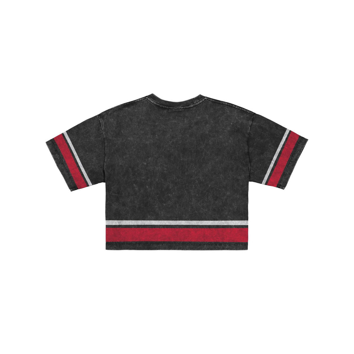 Ohio State Buckeyes Women's Vintage Stripe Cropped T-Shirt
