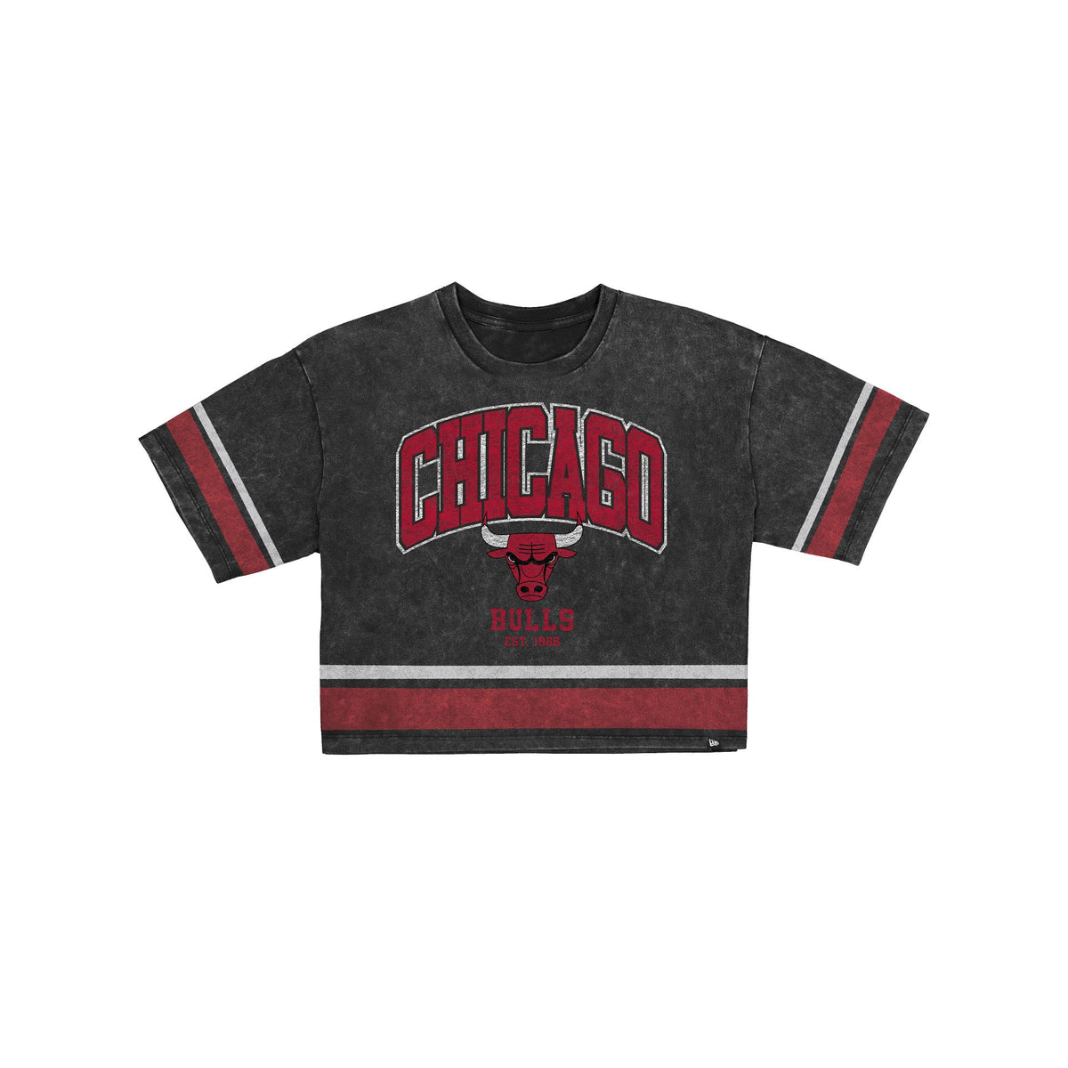 Chicago Bulls Women's Vintage Stripe Cropped T-Shirt