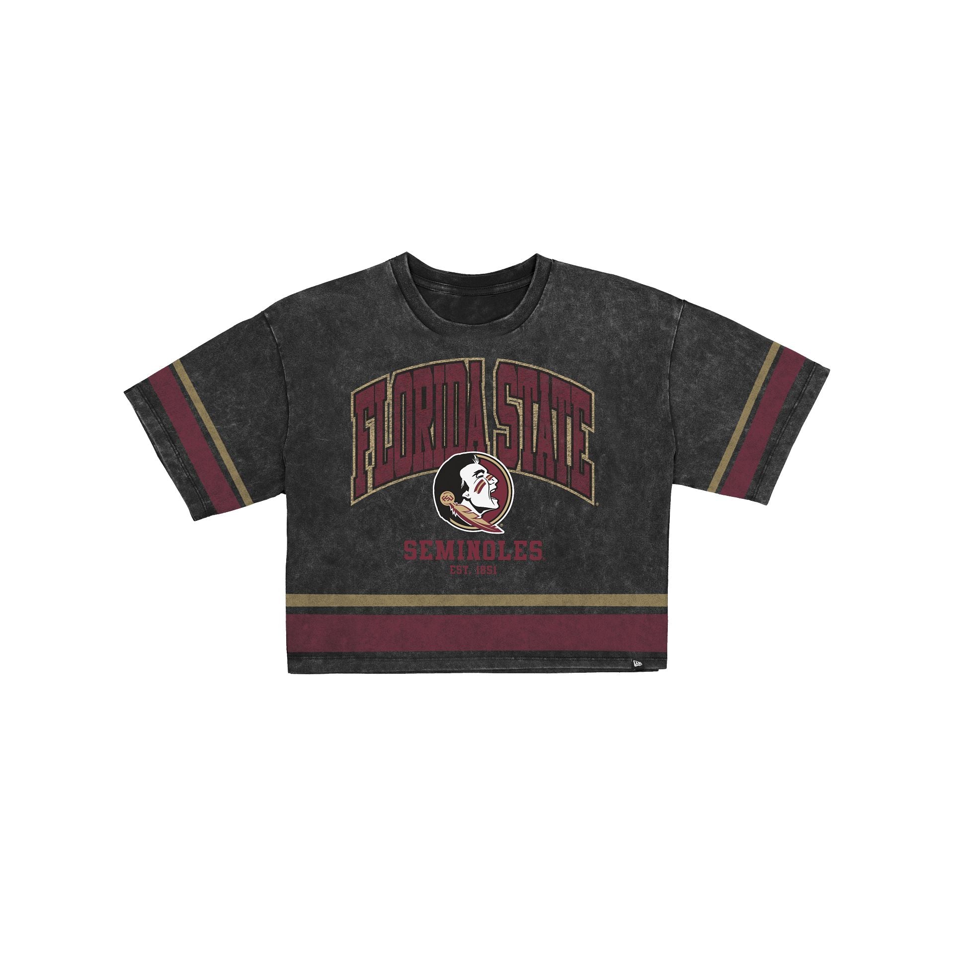 Florida State Seminoles Women's Vintage Stripe Cropped T-Shirt