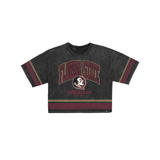 Florida State Seminoles Women's Vintage Stripe Cropped T-Shirt