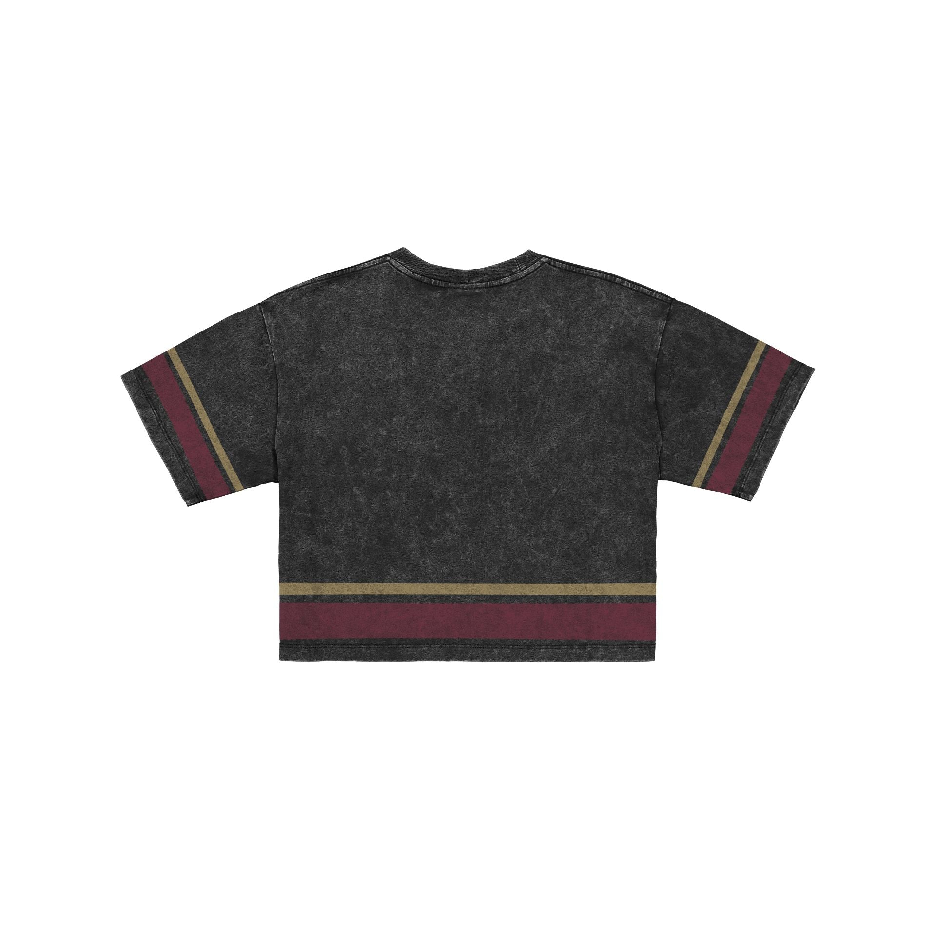 Florida State Seminoles Women's Vintage Stripe Cropped T-Shirt