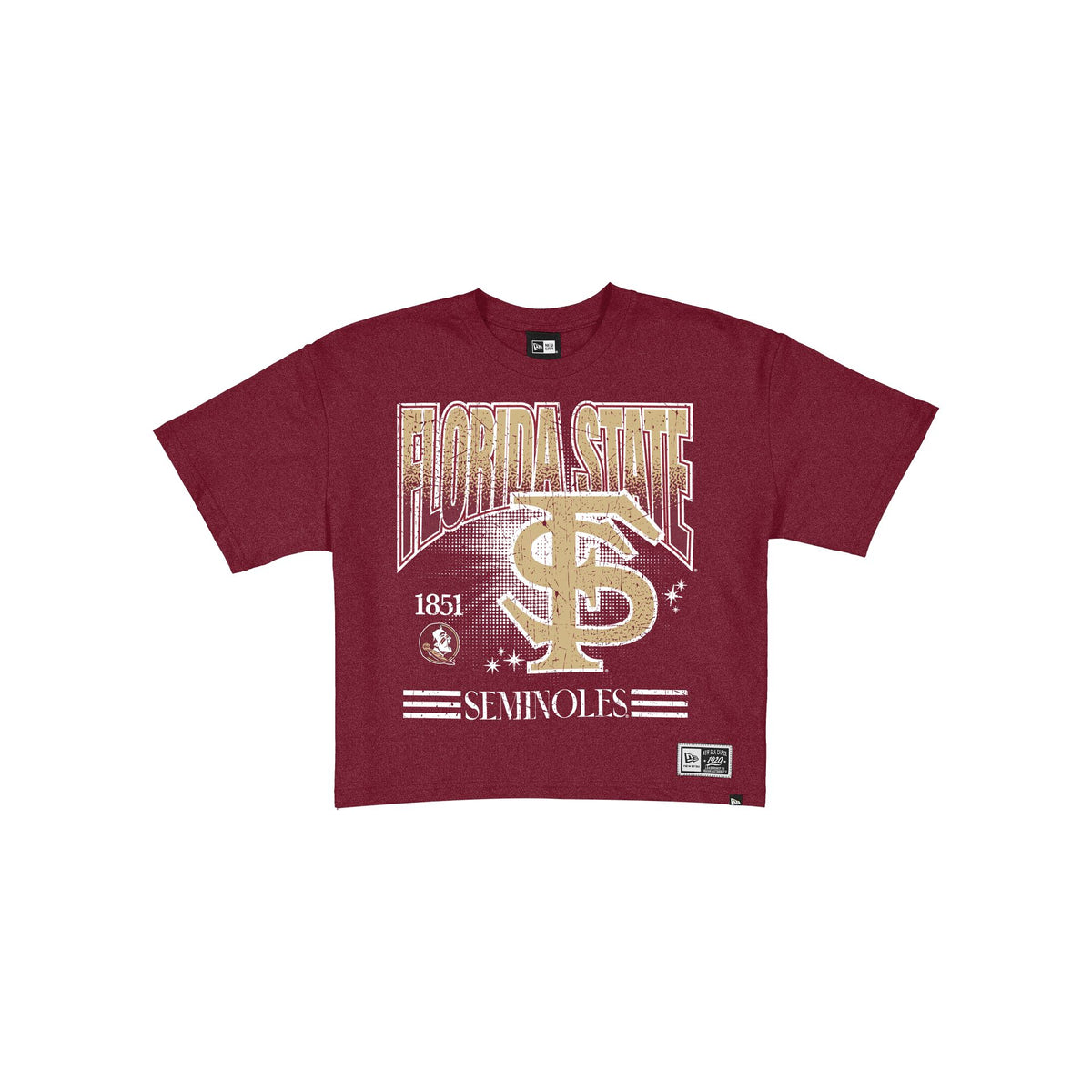 Florida State Seminoles Women's Throwback Cropped Graphic T-Shirt
