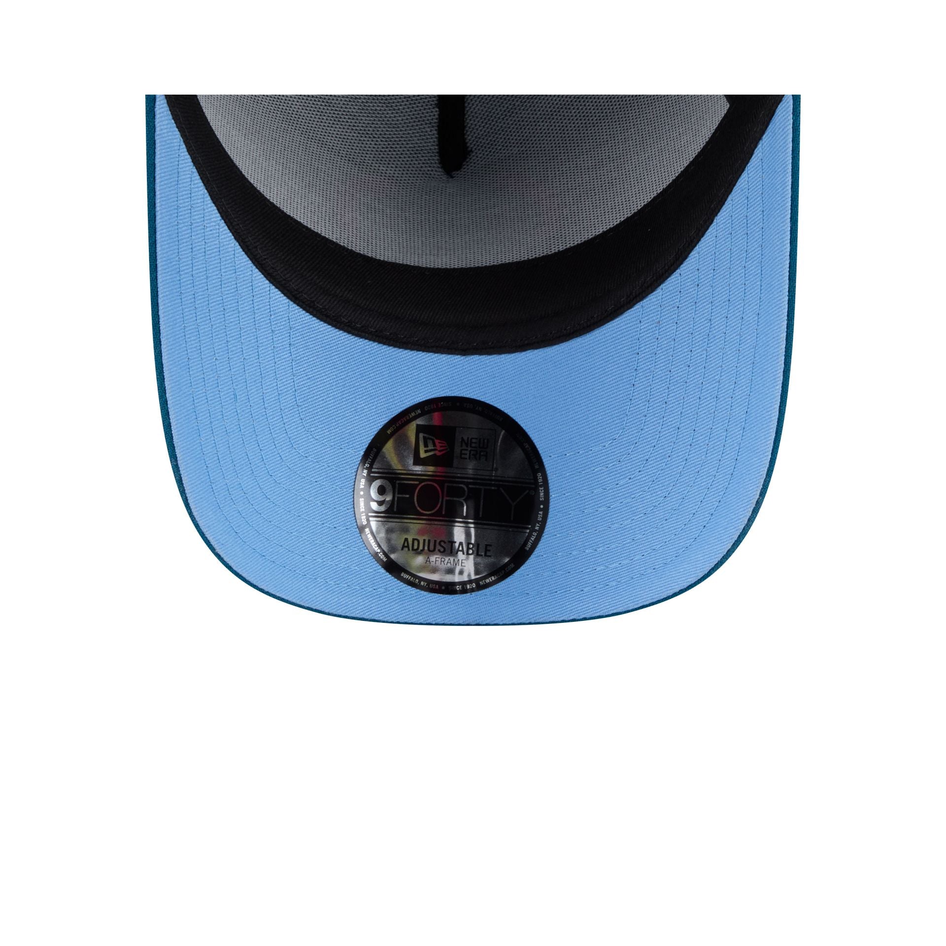 New Era Cap Day of the Dead 9FORTY A-Frame Snapback Hat