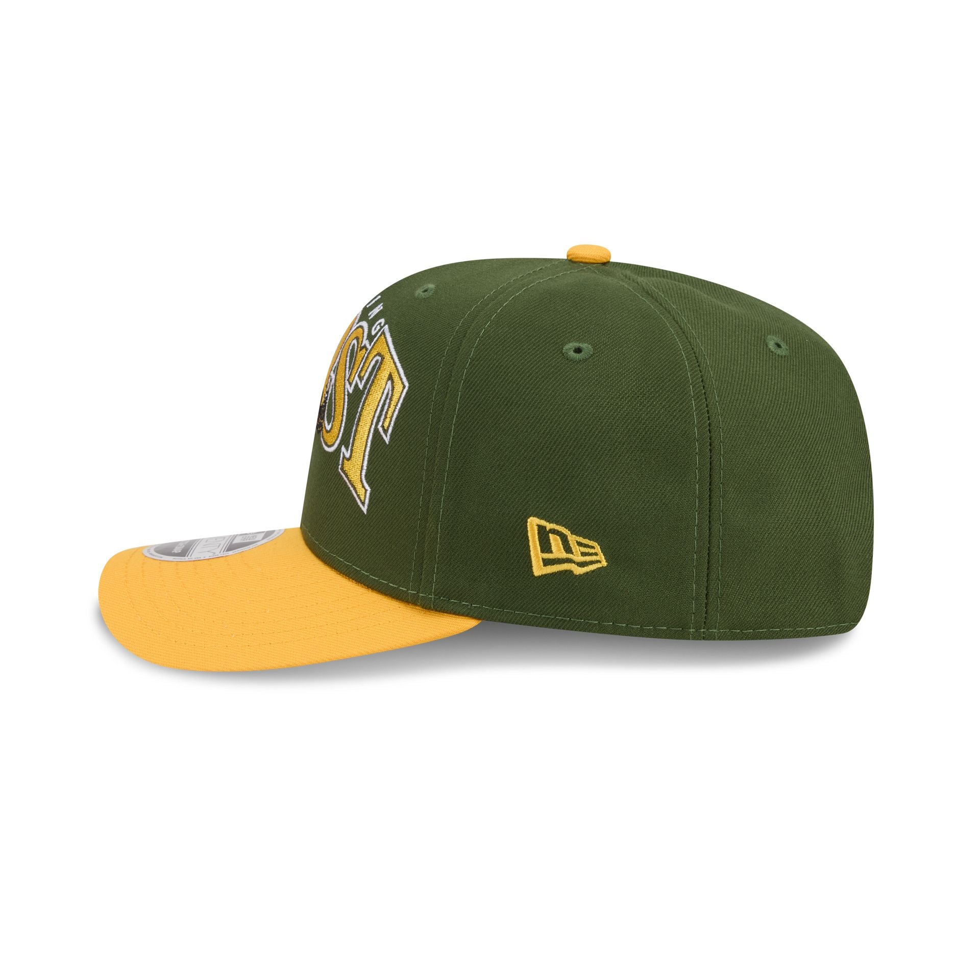 Reading Fightin Phils Theme Night Wordmark Green 9SEVENTY Stretch-Snap Hat