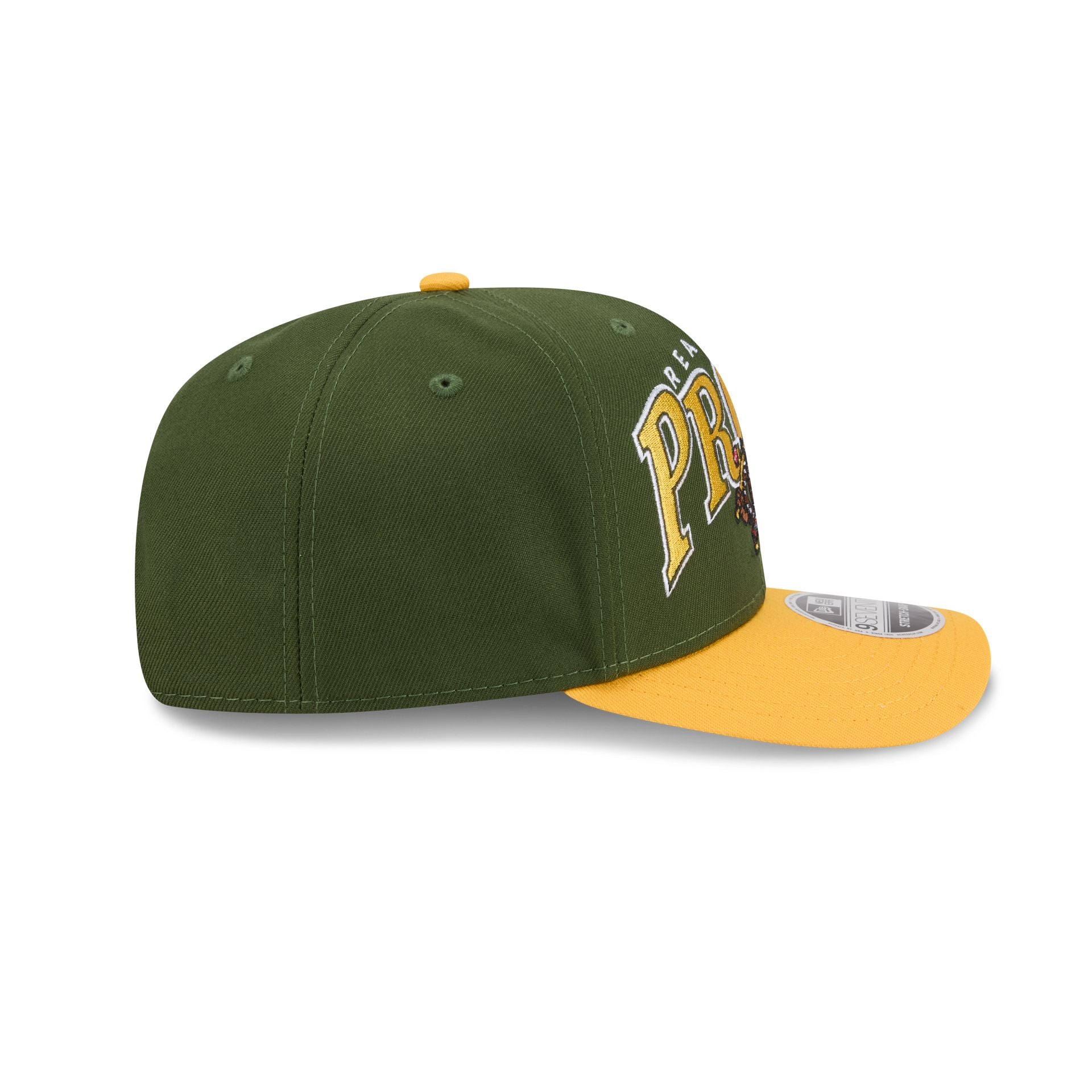 Reading Fightin Phils Theme Night Wordmark Green 9SEVENTY Stretch-Snap Hat
