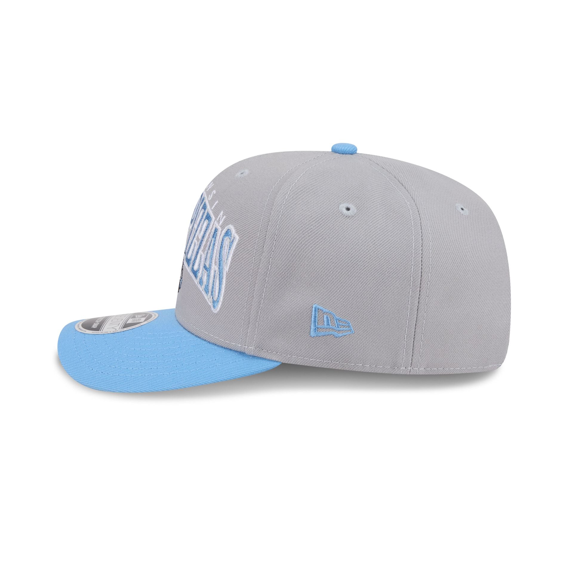 Wisconsin Timber Rattlers Theme Night Wordmark 9SEVENTY Stretch-Snap Hat