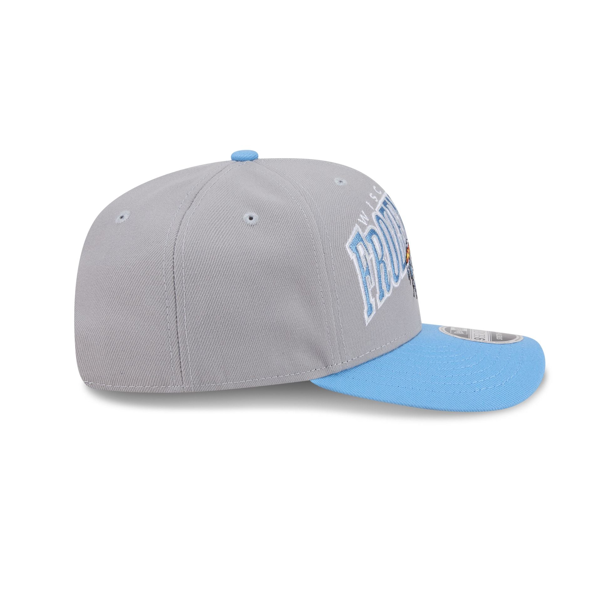 Wisconsin Timber Rattlers Theme Night Wordmark 9SEVENTY Stretch-Snap Hat