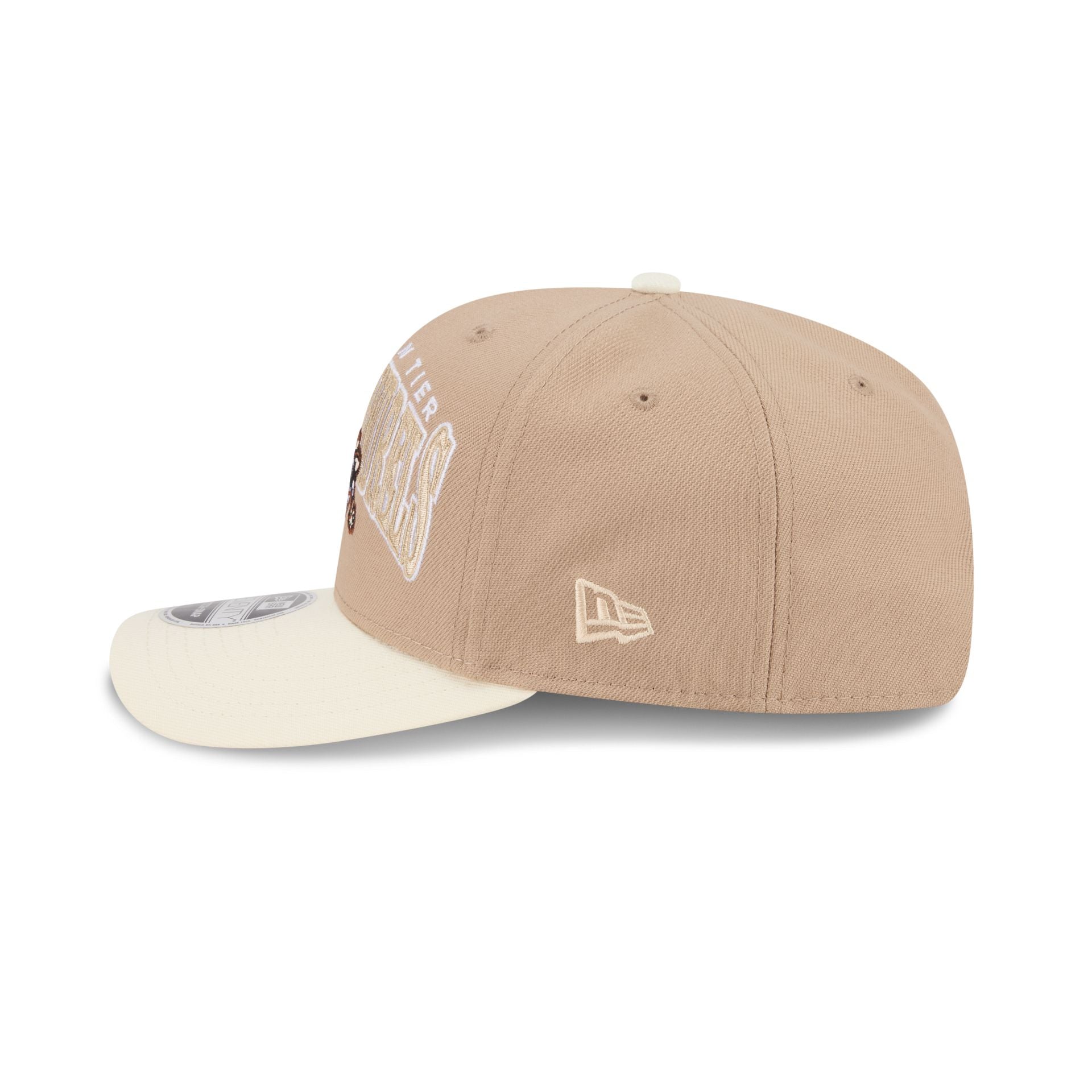 Binghamton Rumble Ponies Theme Night Wordmark 9SEVENTY Stretch-Snap Hat