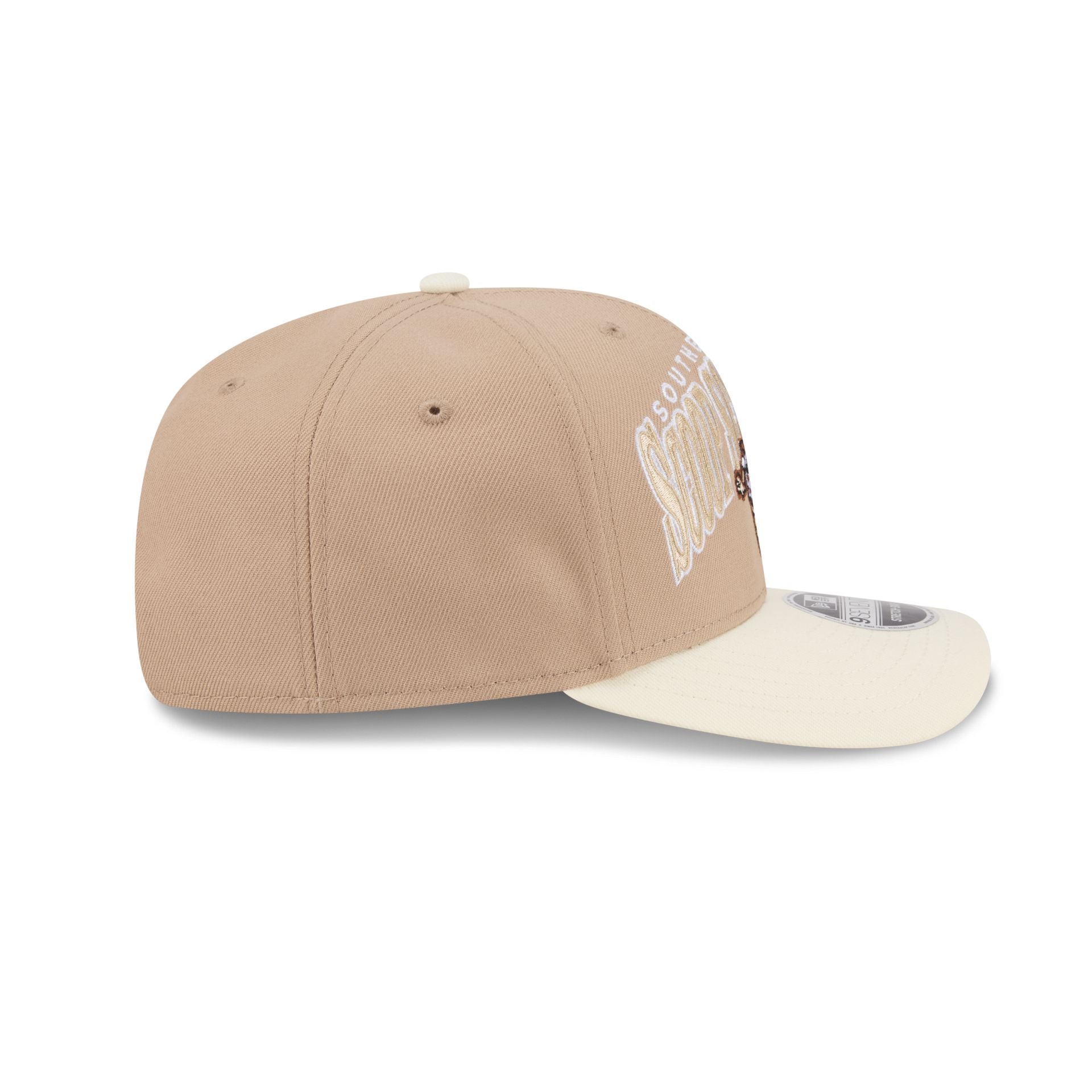 Binghamton Rumble Ponies Theme Night Wordmark 9SEVENTY Stretch-Snap Hat