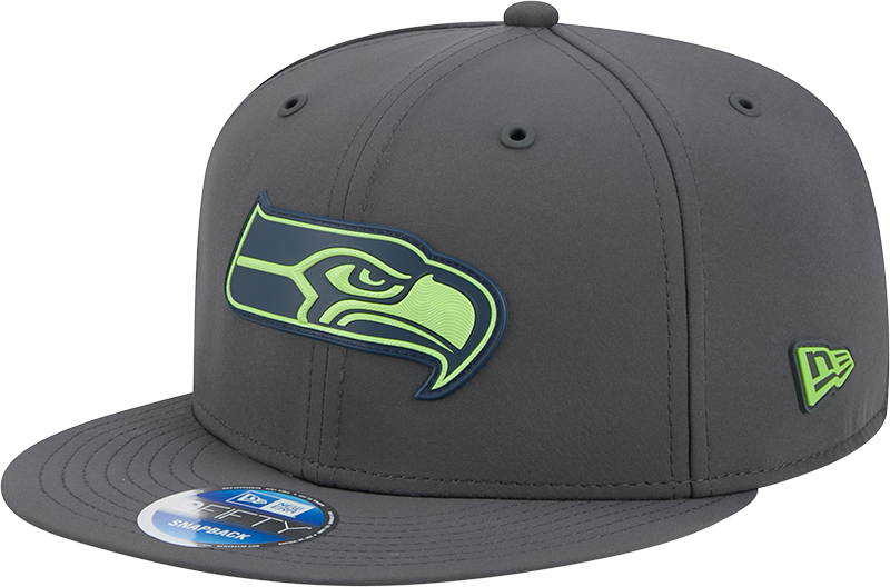 NFL Sideline – New Era Cap