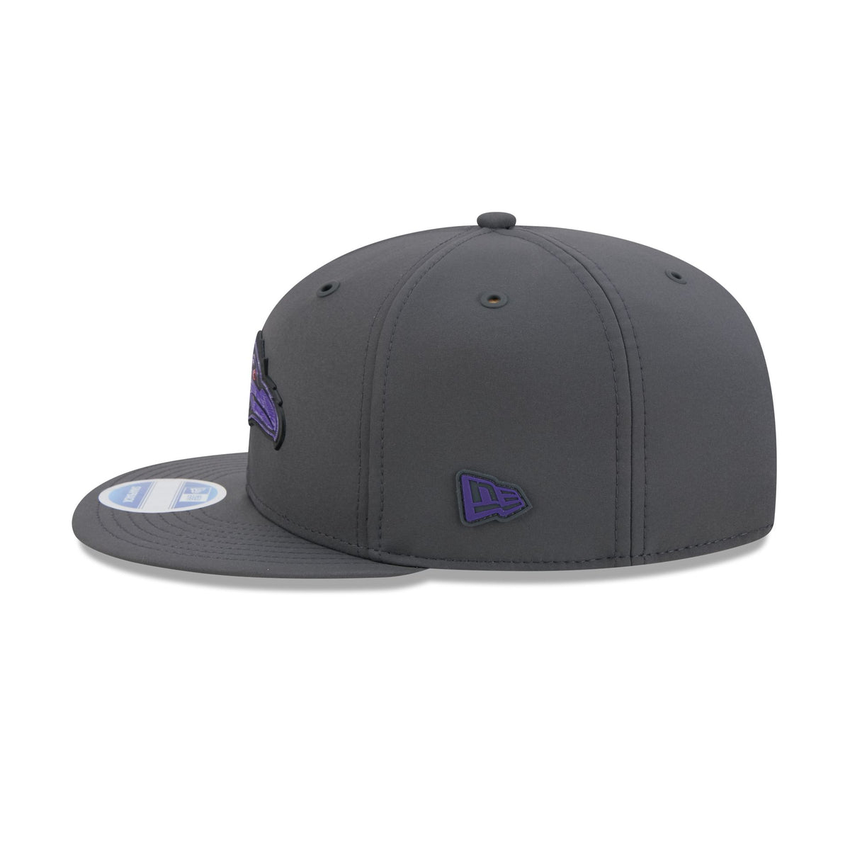 Baltimore Ravens 2026 Sideline Cold Weather 9FIFTY Snapback Hat