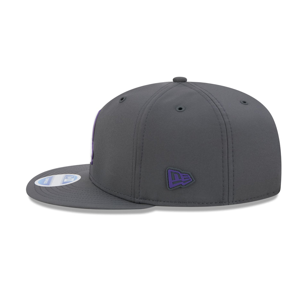 Minnesota Vikings 2026 Sideline Cold Weather Historic 9FIFTY Snapback Hat