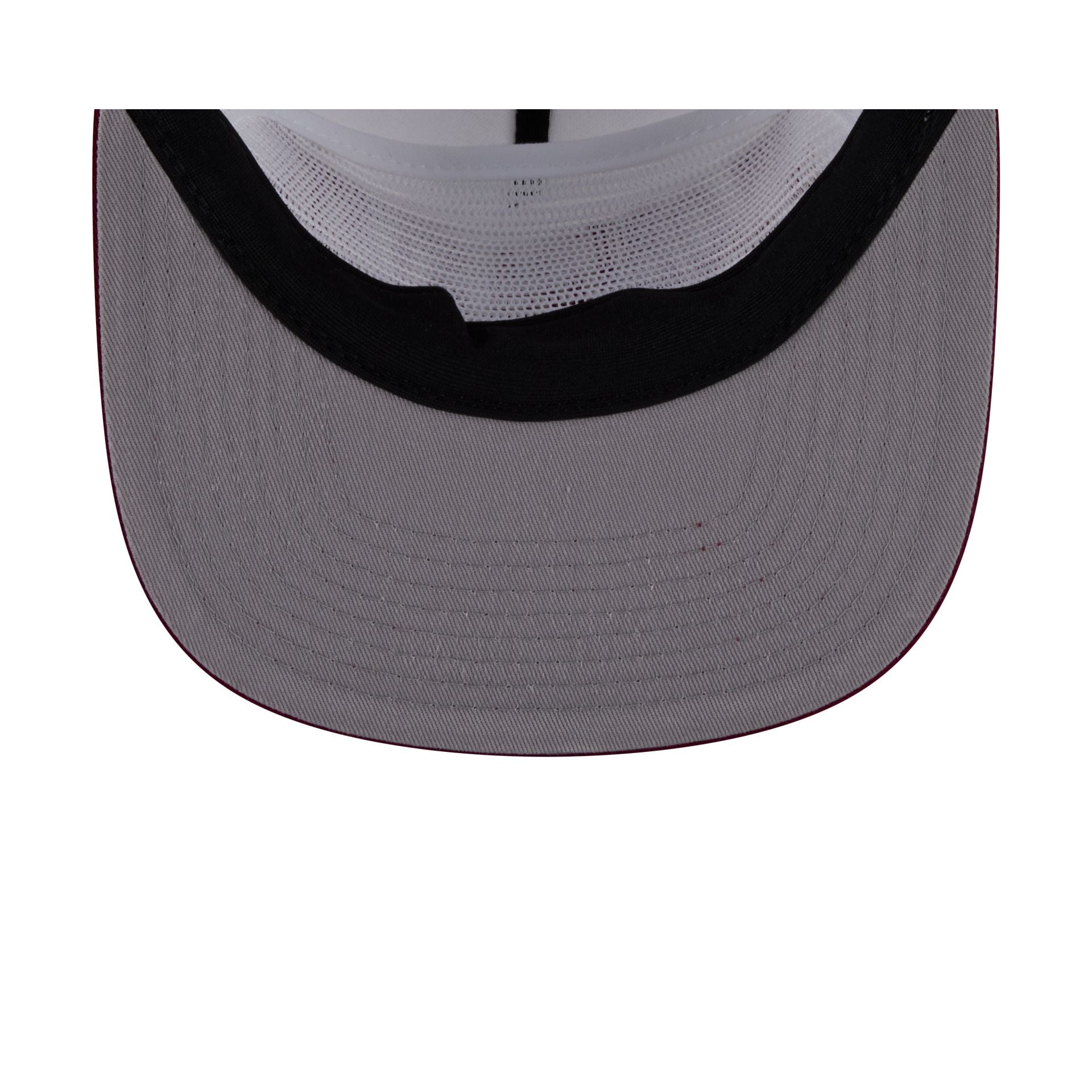 Florida State Seminoles Athletics 19TWENTY Snapback Hat