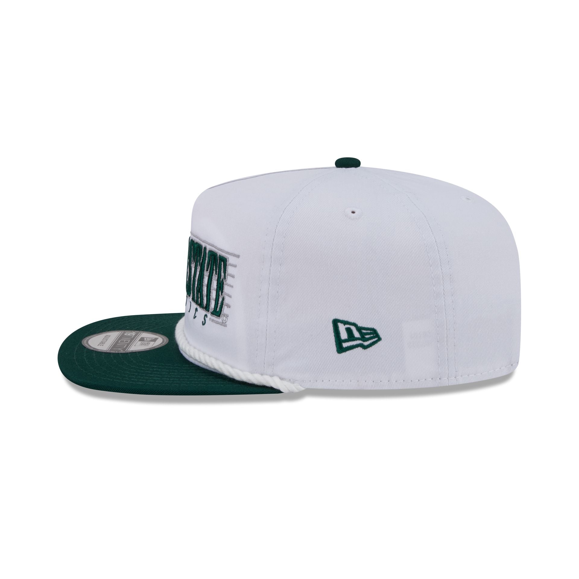 Michigan State Spartans Athletics 19TWENTY Snapback Hat