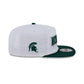Michigan State Spartans Athletics 19TWENTY Snapback Hat