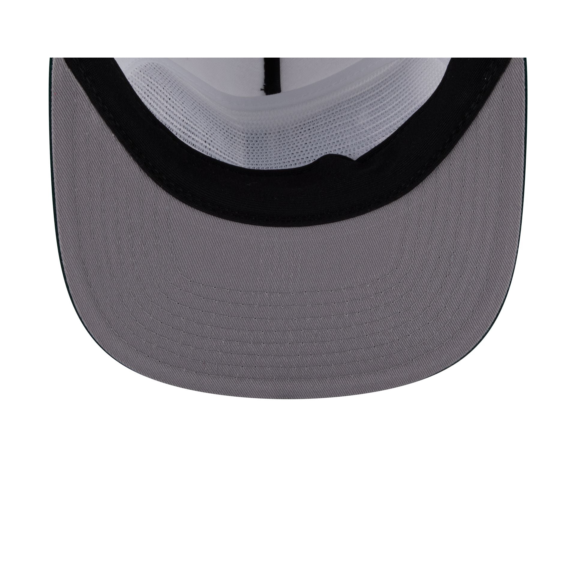 Michigan State Spartans Athletics 19TWENTY Snapback Hat