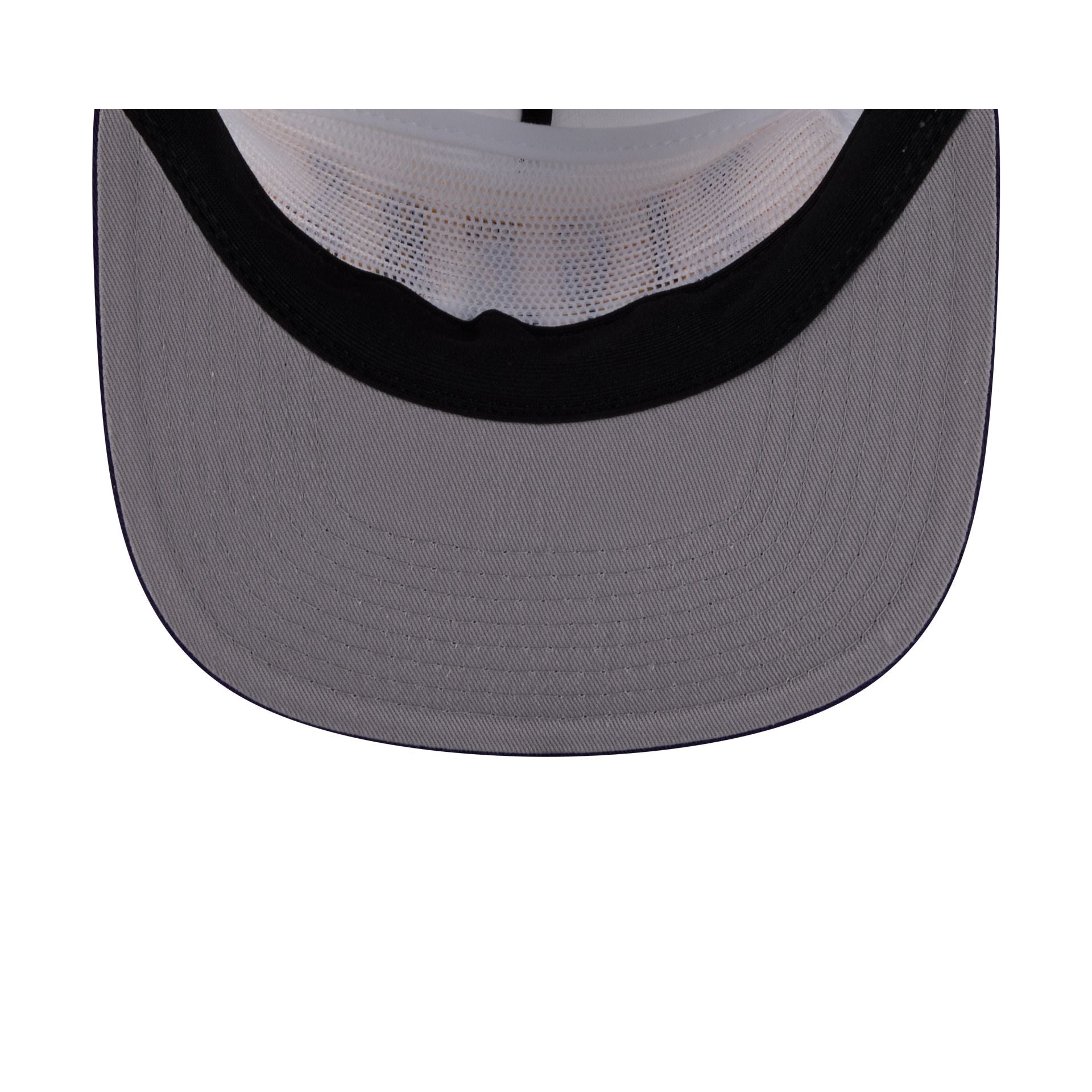 LSU Tigers Athletics 19TWENTY Snapback Hat