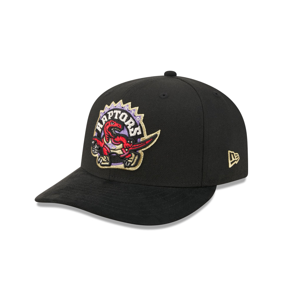 Toronto Raptors Hardwood Classics Side Patch 9FIFTY Snapback Hat