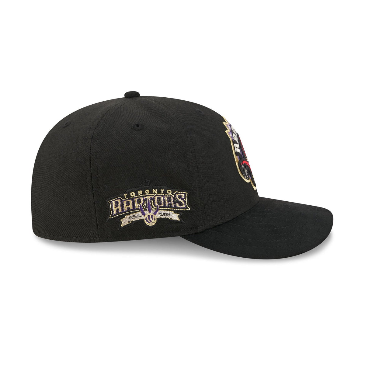 Toronto Raptors Hardwood Classics Side Patch 9FIFTY Snapback Hat