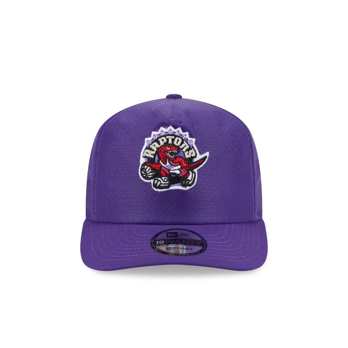 Toronto Raptors Mesh 19TWENTY Trucker Hat