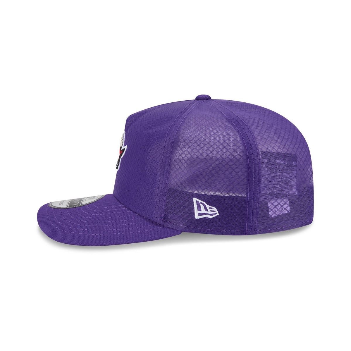 Toronto Raptors Mesh 19TWENTY Trucker Hat